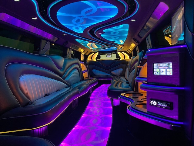 Limo fiber optic lights