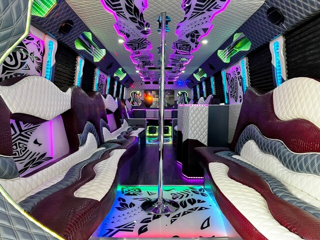 Party bus services in Chicago